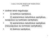 Civilinė teisė: pagrindinės temos 3 puslapis