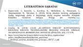 Informacinių sistemų naudojimas muitinės veikloje 18 puslapis