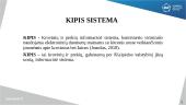 Informacinių sistemų naudojimas muitinės veikloje 3 puslapis