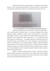 Membraniniai procesai 11 puslapis