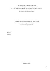 Vaikų veiklos aprašas