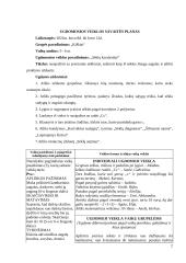 Vaikų veiklos aprašas 2 puslapis