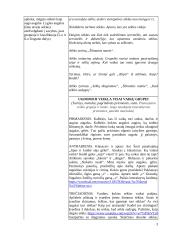 Vaikų veiklos aprašas 3 puslapis