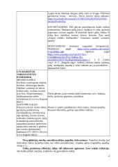 Vaikų veiklos aprašas 4 puslapis