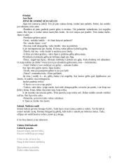 Vaikų veiklos aprašas 5 puslapis