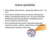 Elektromagnetinių bangų skalė ir bangų skirstymas 9 puslapis