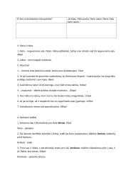 Viljamo Goldingo „Musių valdovas“ aprašymas 8 puslapis