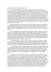 Antano Škėmos kūrinio „Balta drobulė“ aprašymas 4 puslapis