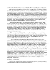 Antano Škėmos kūrinio „Balta drobulė“ aprašymas 5 puslapis