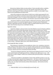 Antano Škėmos kūrinio „Balta drobulė“ aprašymas 6 puslapis