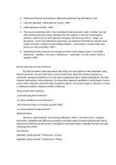 Antano Škėmos kūrinio „Balta drobulė“ aprašymas 7 puslapis