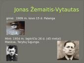 Skaidrės apie Joną Žemaitį 2 puslapis