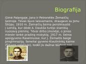 Skaidrės apie Joną Žemaitį 4 puslapis