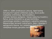 Skaidrės apie Joną Žemaitį 6 puslapis