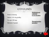 Lietuvių liaudies pasakos bei jų rūšys 3 puslapis