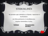 Lietuvių liaudies pasakos bei jų rūšys 6 puslapis