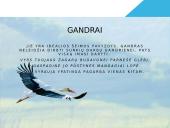 Paukščių motyvai K. Donelaičio „Metai“ 4 puslapis