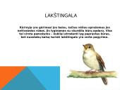 Paukščių motyvai K. Donelaičio „Metai“ 6 puslapis