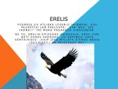 Paukščių motyvai K. Donelaičio „Metai“ 7 puslapis