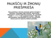 Paukščių motyvai K. Donelaičio „Metai“ 8 puslapis
