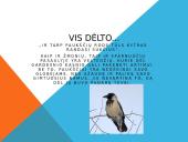 Paukščių motyvai K. Donelaičio „Metai“ 9 puslapis