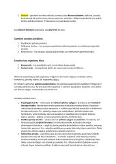 Evoliucija ir gamtinė atranka 2 puslapis