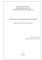 Vėjo elektrinės, jas eksploatuojančio personalo veikla