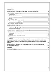 Vėjo elektrinės, jas eksploatuojančio personalo veikla 2 puslapis