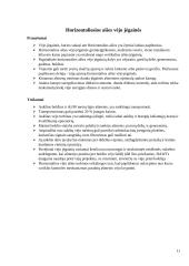 Vėjo elektrinės, jas eksploatuojančio personalo veikla 11 puslapis