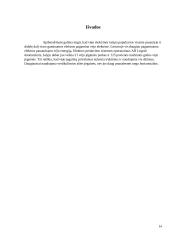 Vėjo elektrinės, jas eksploatuojančio personalo veikla 14 puslapis