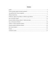 Lengvojo automobilio apšvietimo prietaisų techninė priežiūra  2 puslapis