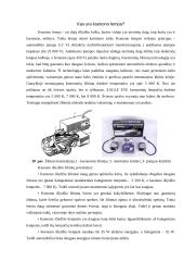 Lengvojo automobilio apšvietimo prietaisų techninė priežiūra  16 puslapis