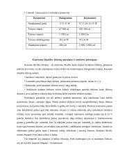 Lengvojo automobilio apšvietimo prietaisų techninė priežiūra  18 puslapis