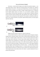 Lengvojo automobilio apšvietimo prietaisų techninė priežiūra  19 puslapis