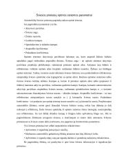 Lengvojo automobilio apšvietimo prietaisų techninė priežiūra  4 puslapis