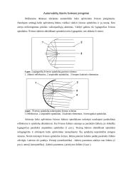 Lengvojo automobilio apšvietimo prietaisų techninė priežiūra  5 puslapis
