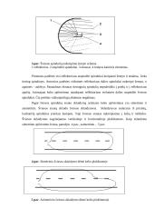 Lengvojo automobilio apšvietimo prietaisų techninė priežiūra  6 puslapis