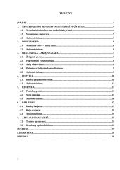 Nežodinis bendravimas ir jo ypatumai 2 puslapis