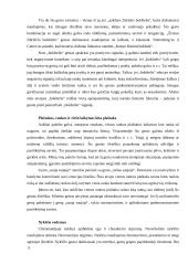 Nežodinis bendravimas ir jo ypatumai 15 puslapis