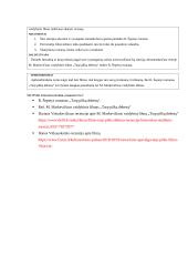 Viešosios kalbos planas R. Šepečio ,,Tarp pilkų debesų" romano ir M. Markevičiaus vaidybinio filmo palyginimas 2 puslapis