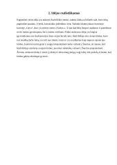 Verslo idėja - Naktinis klubas 3 puslapis