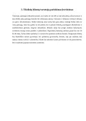 Verslo idėja - Naktinis klubas 4 puslapis