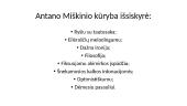 Antano Miškinio biografija 6 puslapis