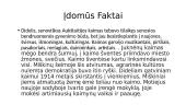 Antano Miškinio biografija 9 puslapis