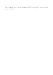 Kokie gyvenimo išbandymai brandina asmenybę? 2 puslapis