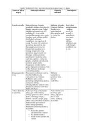 2 klasės Lietuvių k. pamokos planas  5 puslapis
