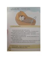 2 klasės Lietuvių k. pamokos planas  8 puslapis