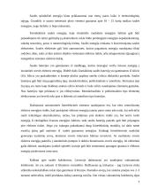 AtsinaujinančIų elektros šaltinių panaudojimo galimybės Lietuvoje 4 puslapis