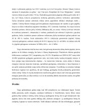 AtsinaujinančIų elektros šaltinių panaudojimo galimybės Lietuvoje 9 puslapis