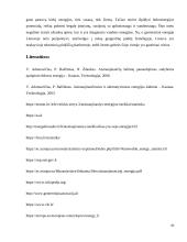 AtsinaujinančIų elektros šaltinių panaudojimo galimybės Lietuvoje 10 puslapis